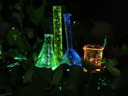 La quimioluminiscencia es la emisión de luz en una reacción química que no produce calor. La fotografía llamada ‘Naturaleza química’ reúne material de laboratorio en un entorno natural para subrayar que "la naturaleza es química y que la química está en la naturaleza".