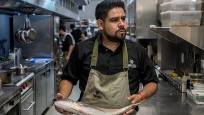 El chef Erik Guerrero en su restaurante Namik en el Puerto de Veracruz el día 09 de julio de 2022. Erik Guerrero ha creado la empresa Nuestra Pesca en la que promueve la pesca silvestre como un método de consumo responsable en el mar mexicano. 