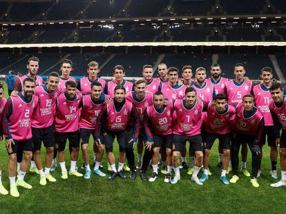 Los jugadores de la selección posan con petos rosas por la campaña contra el cáncer de mama. En vídeo, declaraciones del seleccionador, Robert Moreno.