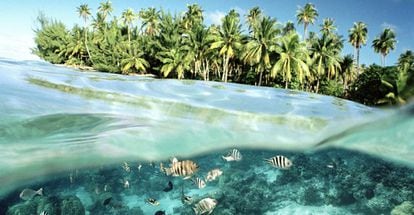 Playa cristalina de Tahití.