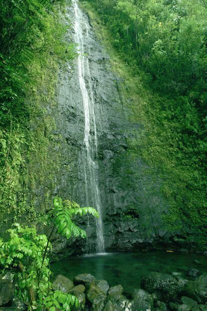 Cascadas de Manoa en Honolulu.