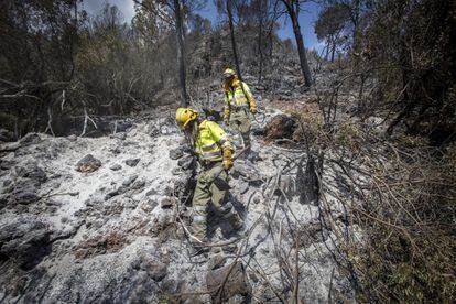 Un equipo de brigadistas trabaja en las labores de extinción del incendio forestal en Carcaixent (Valencia), el 18 de junio.