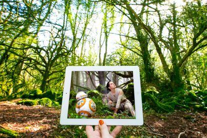 Rey, interpretada por la actriz Daisy Ridley, junto a BB-8 en Puzzlewood, parte del bosque Dean, en Gloucestershire, en Inglaterra. Estas 14 hectáreas de árboles cubiertos de musgo y de cuevas son un sitio mágico, que no solo ha inspirado a los creadores de 'Stars Wars'; mucho antes se ganó a Tolkien que lo visitaba con frecuencia allá por la década de 1920. Hoy sigue atrayendo a estudiantes y viajeros de todo el mundo.