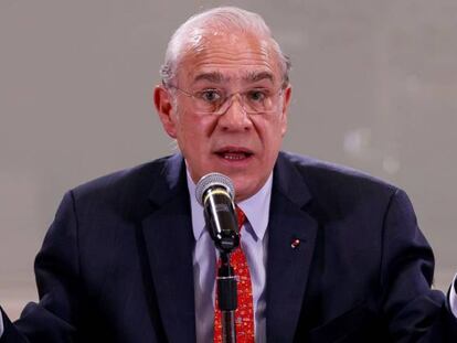 El secretario general de la Organizaci&oacute;n para la Cooperaci&oacute;n y el Desarrollo Econ&oacute;micos (OCDE), Jos&eacute; &Aacute;ngel Gurr&iacute;a,