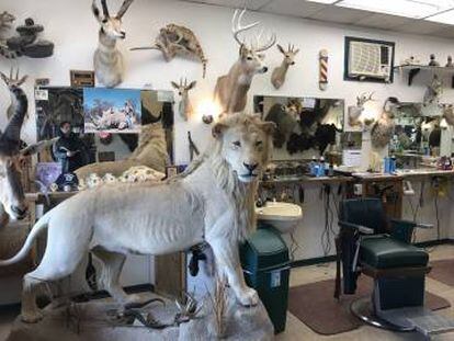 Barbería adonde acude habitualmente Karkoc y donde se exhiben los trofeos de caza del dueño.