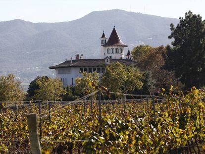 Campos de Cavas Codorníu en Sant Sadurní d’Anoia (Barcelona). 