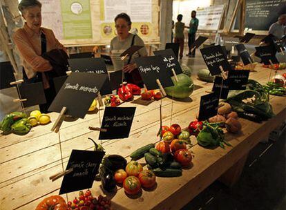 Uno de los mostradores con verduras de la región ubicados en el centro cultural Matadero.