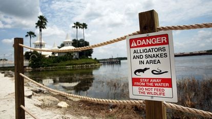 Una señal que advierte de la presencia de cocodrilos y serpientes en Orlando, Estados Unidos. 
