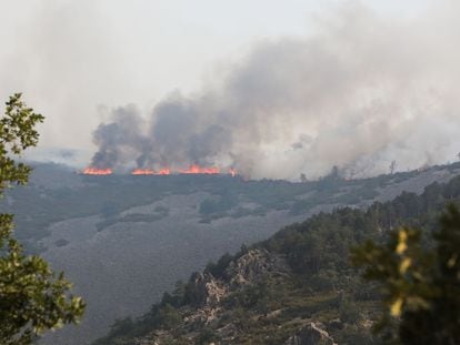 El incendio forestal declarado el lunes en la comarca de Las Hurdes se reactivó el jueves en Las Mestas (Cáceres).