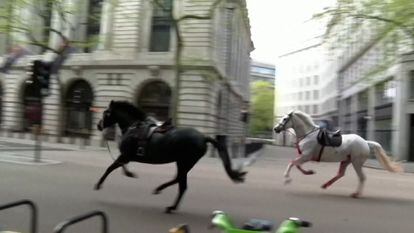 Captura de uno de los vídeos que muestran a dos caballos corriendo por las calles de Londres.