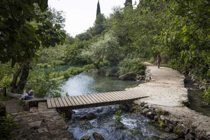 Desde la altísima fortaleza de Nimrod, Etzba HaGalil (el Dedo de Galilea), baluarte de las Cruzadas, se extiende como un mapa topográfico. Se pueden seguir los wadis de las reservas naturales de Banias (en la foto) y Yehudiya de camino al río Jordán y al mar de Galilea. Los suelos de basalto del Golán son ideales para cultivar uva, y algunos de los mejores vinos artesanales de la región surgen de estas cepas.