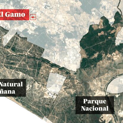 Por qué legalizar riegos en una finca agrícola a 18 kilómetros de Doñana deteriora el parque