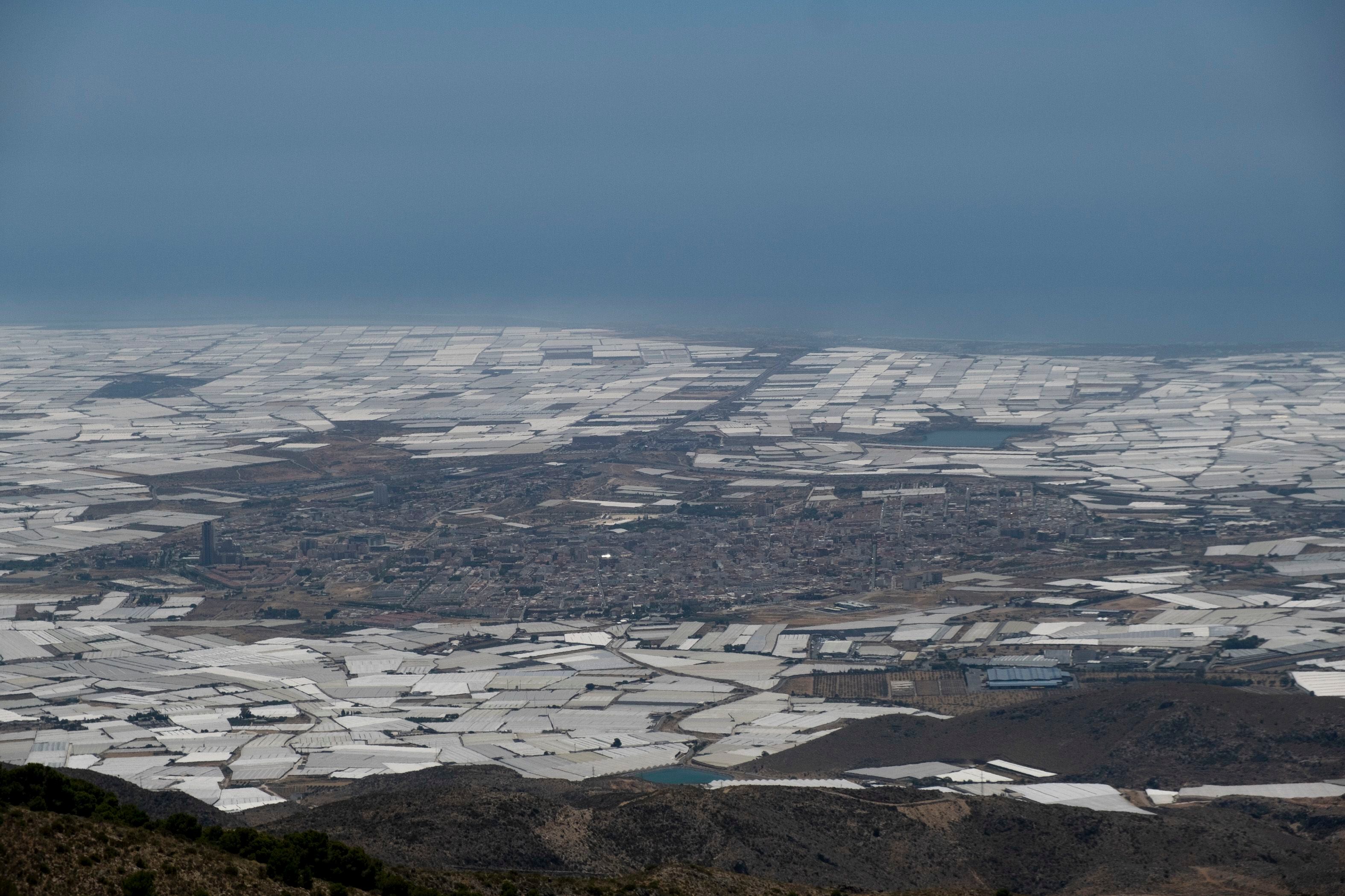 Vista de El Ejido, rodeado del mar de plástico de los invernaderos. 
