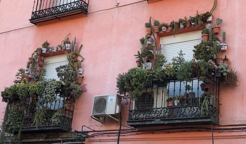 Dos balcones repletos de cactus en la calle Santa Isabel (Madrid).