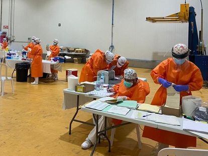 Sanitarios realizan pruebas de coronavirus a trabajadores de la empresa hortofrutícola del Bajo Cinca afectada por un brote, este domingo.