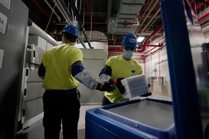 Trabajadores de una fábrica de Pfizer en Portage (Estados Unidos) preparan un envío de vacunas contra el coronavirus, este domingo.