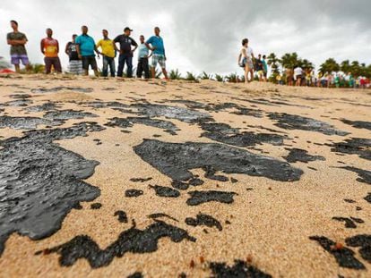 Un grupo de trabajo participa en las acciones de limpieza del petróleo en la Costa dos Corais. 