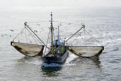 Un barco de pesca. La de arrastre es una de las prácticas más dañinas.