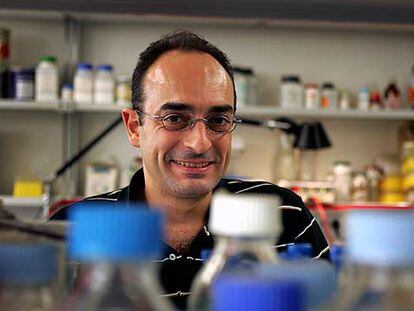 Carlos Lalueza Fox, en su laboratorio en la Universidad de Barcelona.