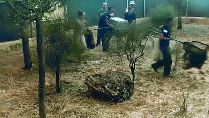 Trabajadores de El Acebuche sacan a la carrera los últimos linces que pudieron evacuar durante el incendio de Doñana.