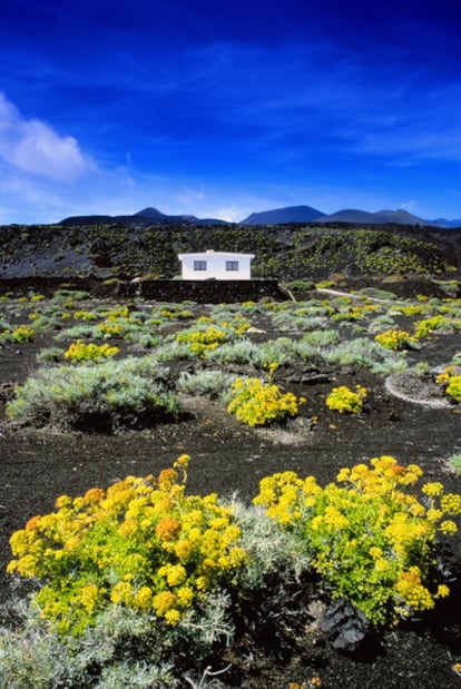 Paisaje volcánico en Fuencaliente, al sur de La Palma.