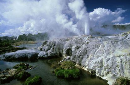 En el valle termal de Whakarewarewa (Nueva Zelanda), zona geotérmica cercana a Rotorua, hay más de sesenta chimeneas, siete de ellas todavía en activo. El Pohutu es la joya de la corona y cada hora libera un feroz chorro de 30 metros.