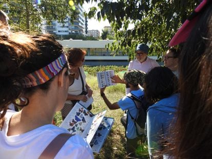 Un grupo de voluntarios, en un parque, observan unos libros con dibujos de mariposas. / PAU GUZMAN (CREAF)