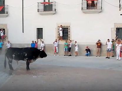 Un veí caçador es disposa a matar d'un tir el toro Guapetón a Còria (Càceres).