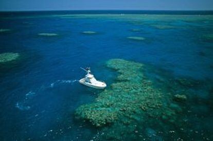 Una embarcación de alquiler en la Gran Barrera de Coral, en Queensland (Australia).