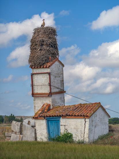 A nest of several generations of storks, in Santillán del Agua (Burgos).  A tensioner prevents the construction from collapsing.