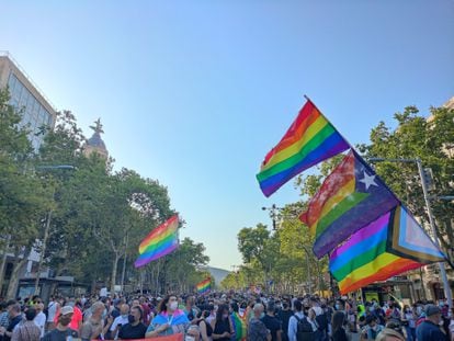 Manifestación unitaria contra la LTGBIfobia en Barcelona.