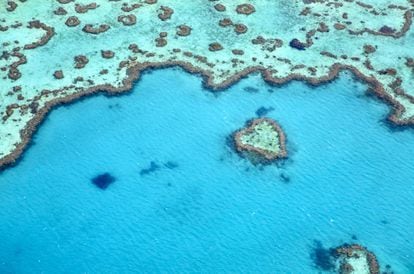Con una extensión de más de tres mil kilómetros frente a la costa este de Australia, la Gran Barrera es el mayor conjunto de arrecifes coralinos del mundo, un ecosistema único donde viven 400 tipos de coral y 1.500 especies de peces. Un paraíso para los buceadores.