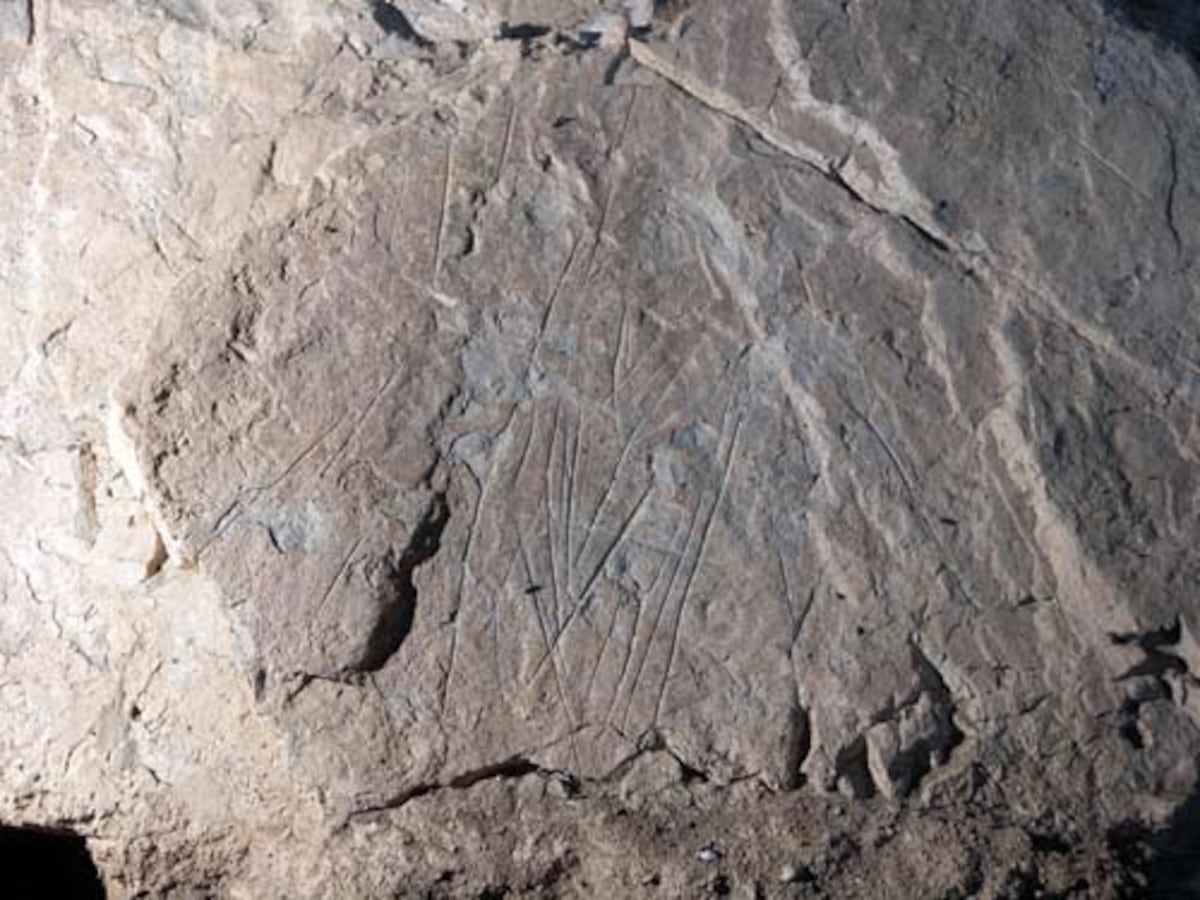 El misterio de las bacterias de una mujer enterrada con honores hace 19.000 años