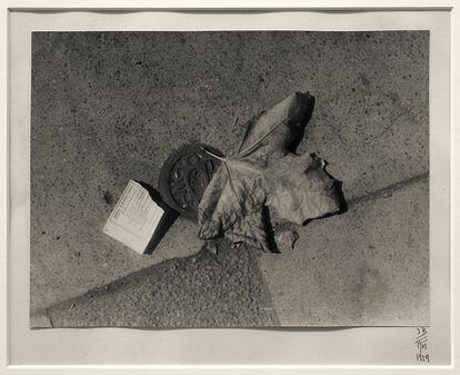 'Dead Leaf and Tram Ticket on the Sidewalk', Frankfurt, 1929.