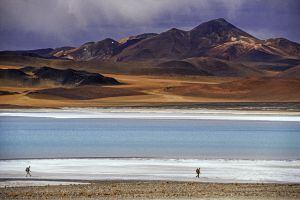 Senderistas en el desierto de Atacama, en Chile.