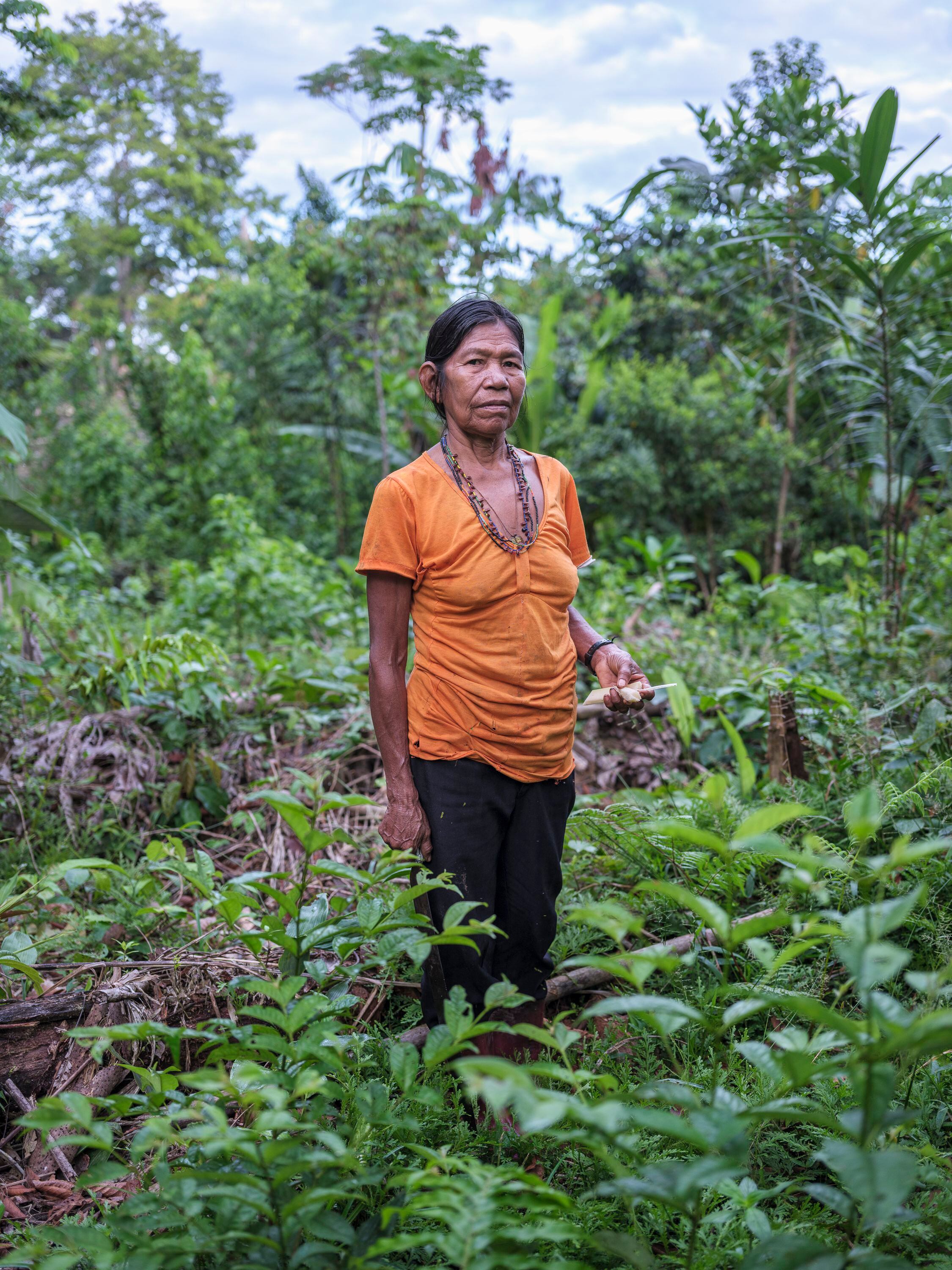 Silvia Bautista Manduca, sabedora y partera tikuna de la comunidad de Arara, al recorrer los caminos que llevan del pueblo a la chagra donde cultiva sus plantas medicinales.