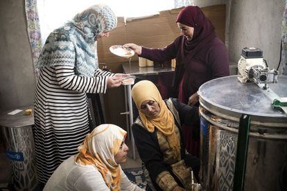 Ajim, Djerba, Tunisia - Una cooperativa de mujeres del área rural en Ajim (Túnez), producen miel orgánica.