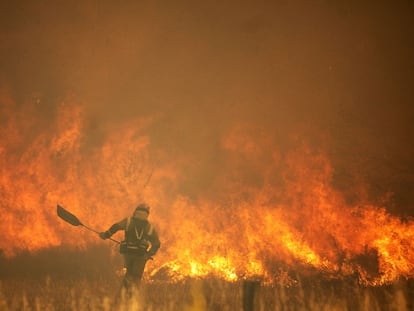 Incendios Zamora