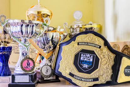 Colección de trofeos incluyendo el cinturón de campeón del mundo.