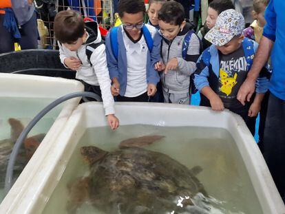 Alumnos de 4º de Primaria del CEIP Lope de Vega, en Ceuta, visitando un centro de recuperación de tortugas marinas en la ciudad autónoma.