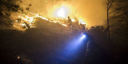 Brigadistas del Infoca, durante el incendio de B&eacute;dar.