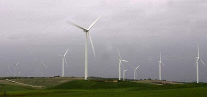 Molinos aerogeneradores de la planta de La Janda.