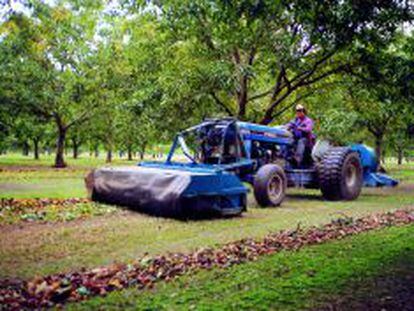 El Gobierno destina cinco millones a la renovación del parque de tractores