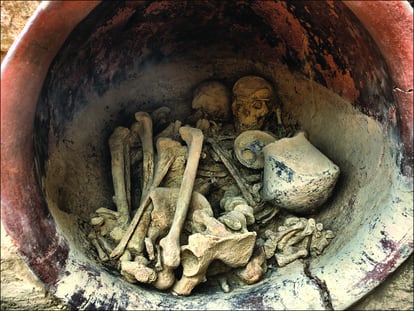 Restos óseos encontrados en la tumba 38 de La Almoloya.