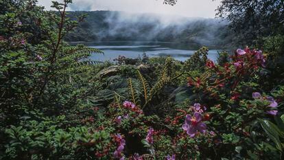 La laguna de Botos rodeada de vegetación junto al volcán de Poas, en Costa Rica.