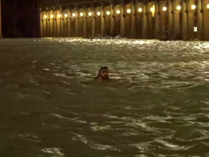 En vídeo, imágenes que muestran a un hombre nadando en la Plaza de San Marcos.
