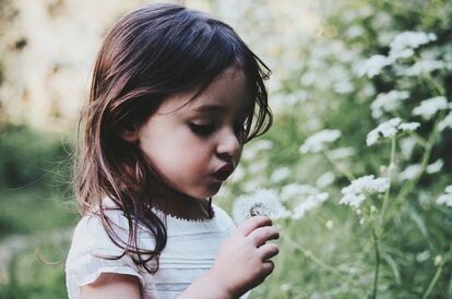Una niña sopla un diente de león.