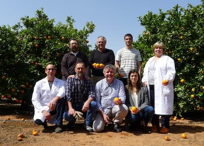 Equipo de Manuel Talón (de pie, en el centro) en el Instituto Valenciano de Investigaciones Agrarias.