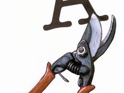 Penúltimos archisílabos