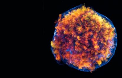 Imagen fabricada a partir de lo registrado por el Observatorio Chandra de la NASA de una supernova que estalló en el siglo XVI.
